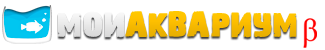 Мой Аквариум