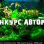 Конкурс авторов