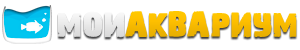 Мой Аквариум