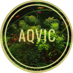 Aqvic